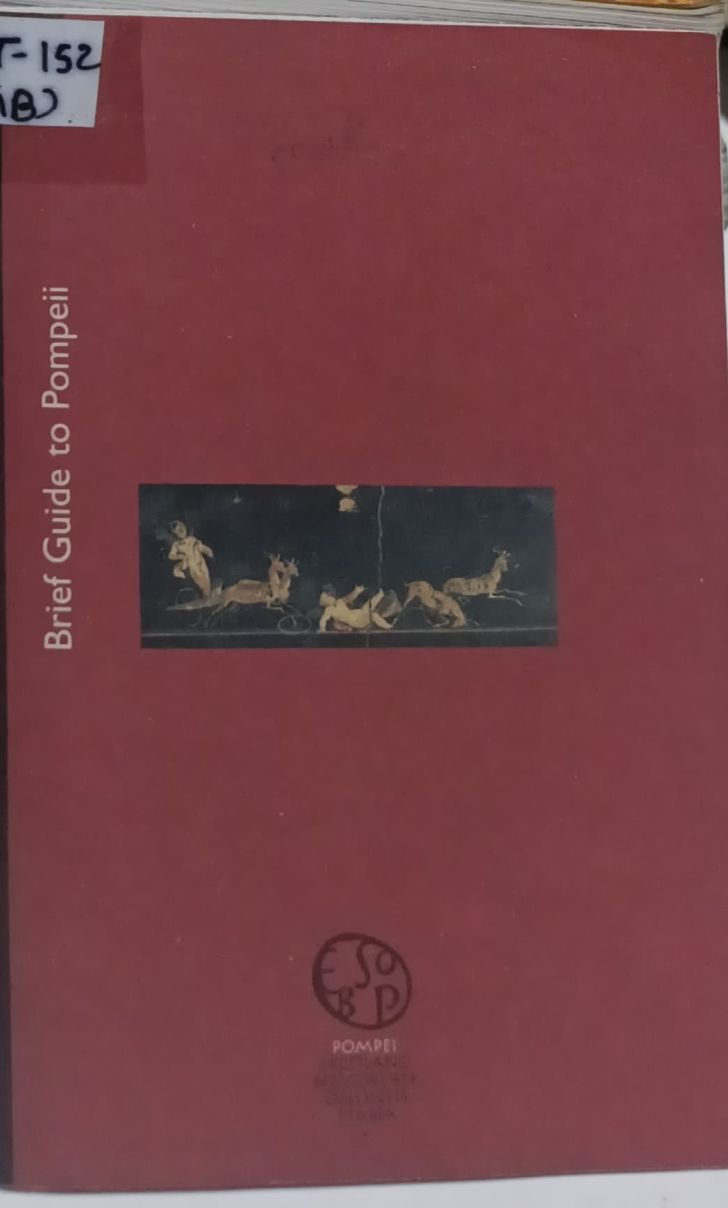 Brief Guide To Pompeii