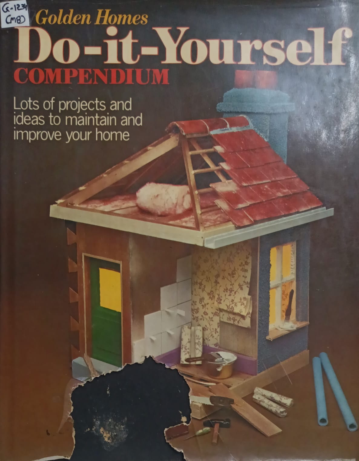 Do-It- yourself compendium-golden homes