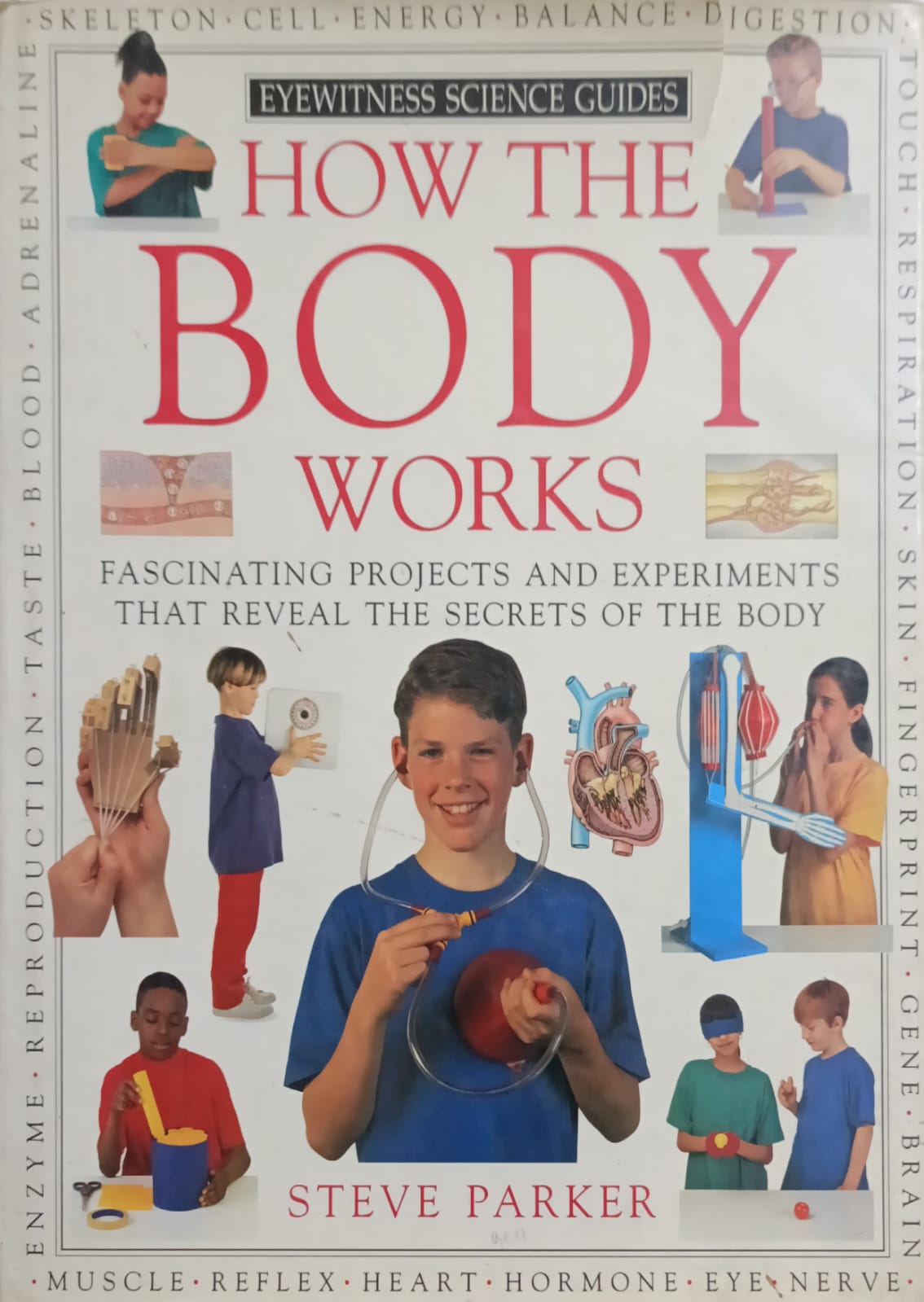 How the body works