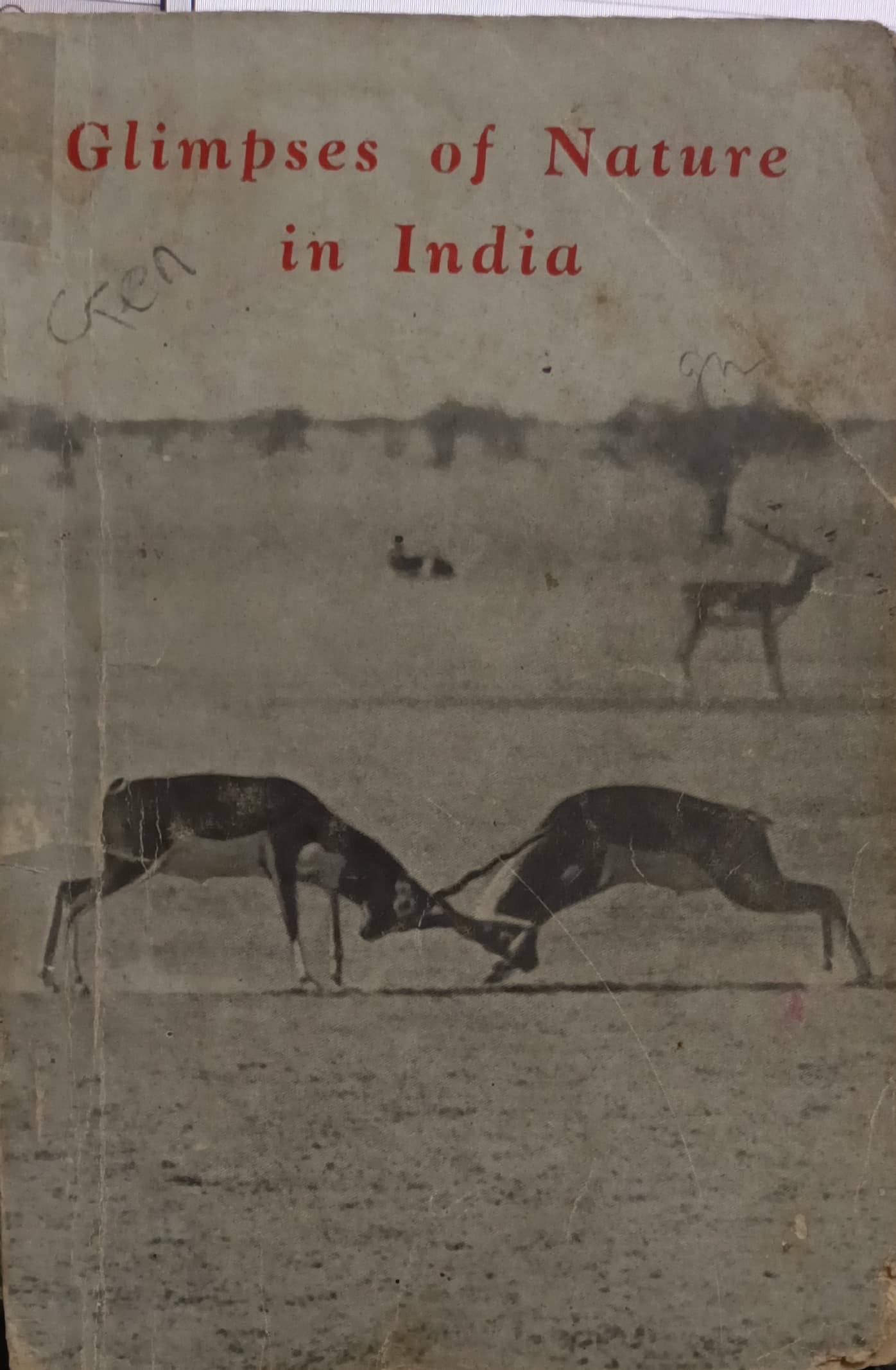 Glimpses Of Nature In India