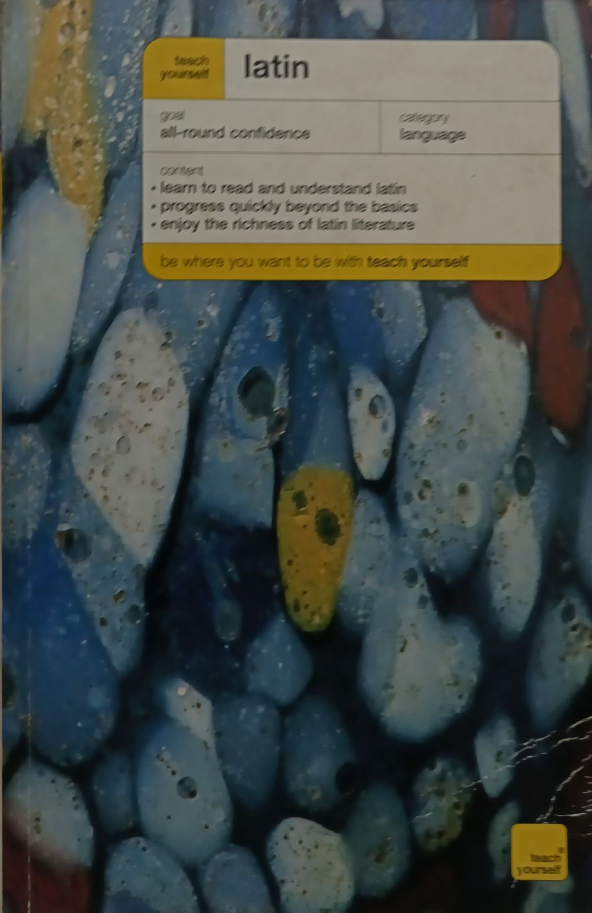 Teach  Yoursel _iatin