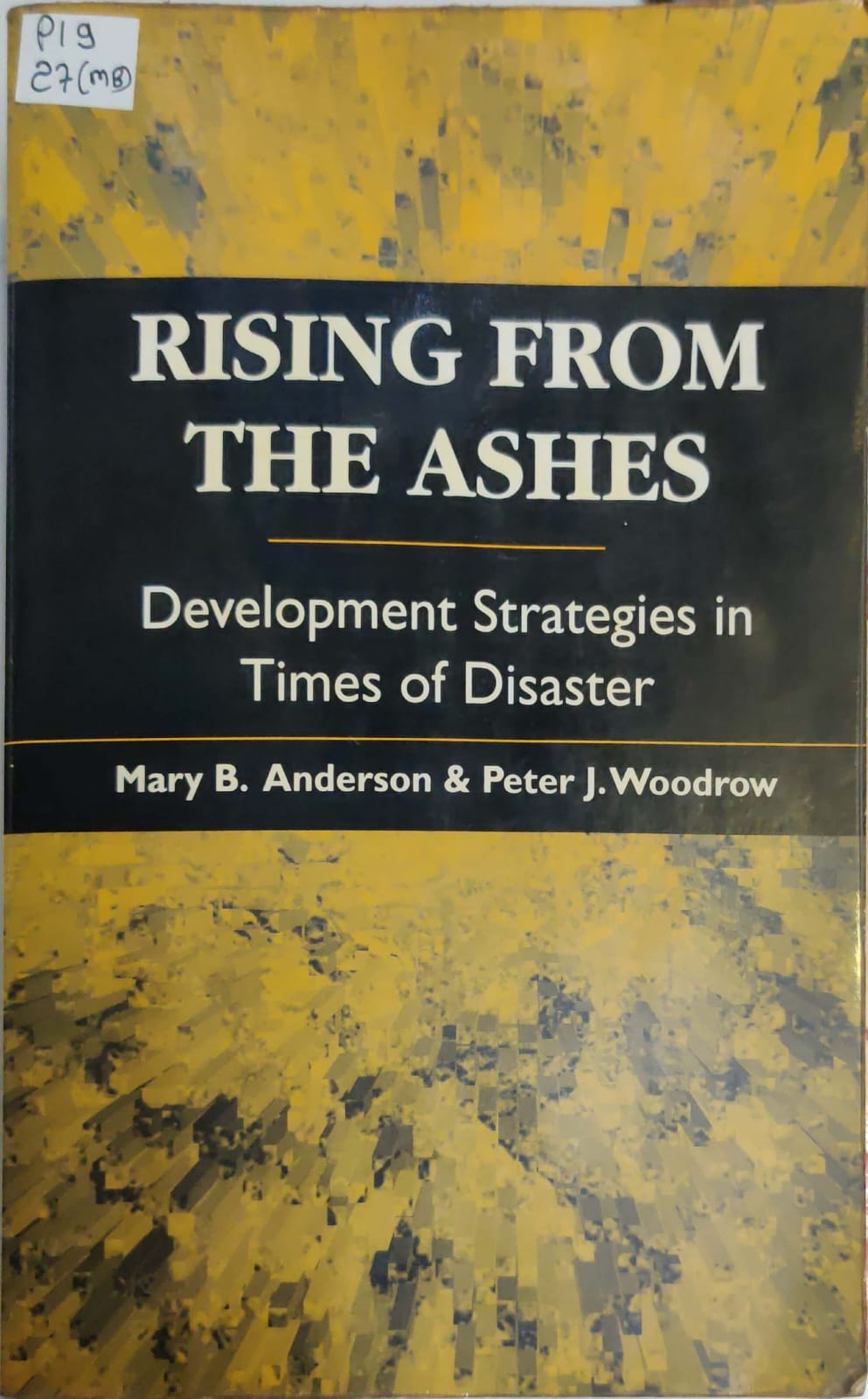 Rising From THE Ashes -Development Strategies in Time of disaster