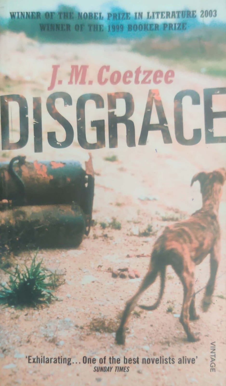 Disgrace