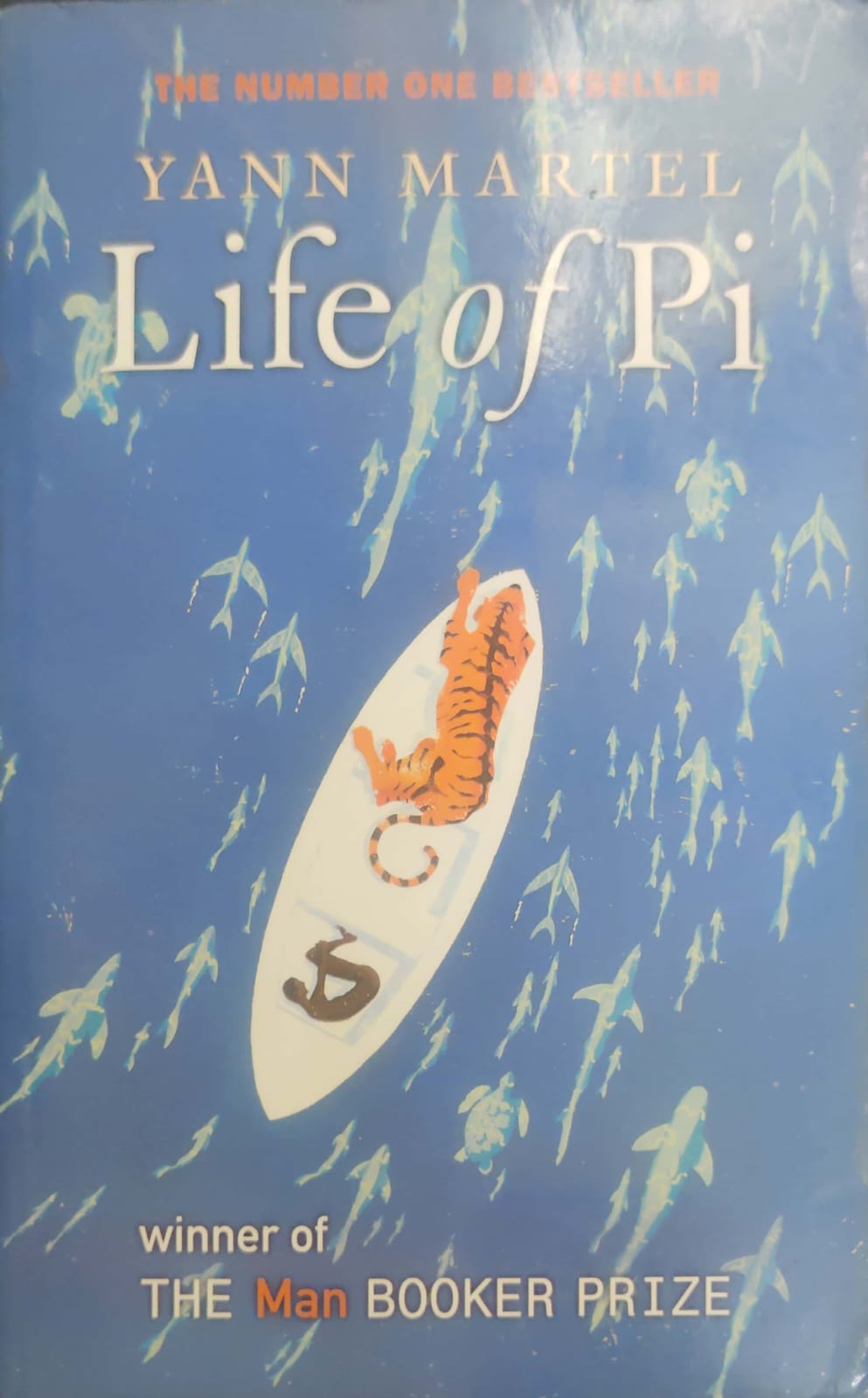 Life Of Pi