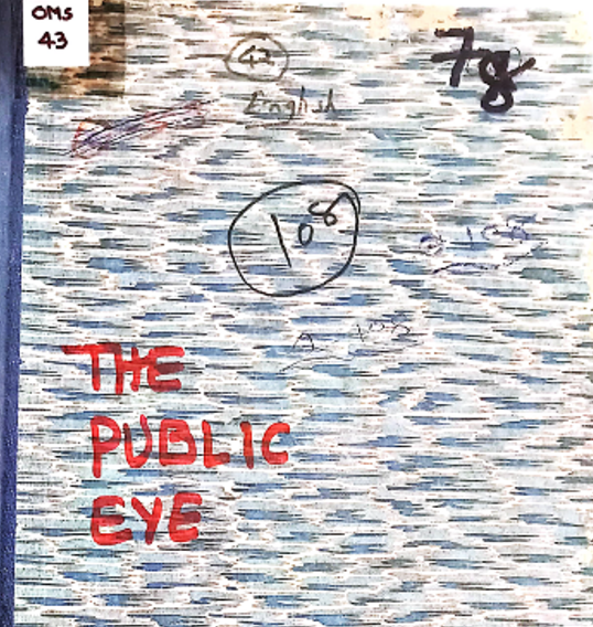 THE PUBLIC EYE
