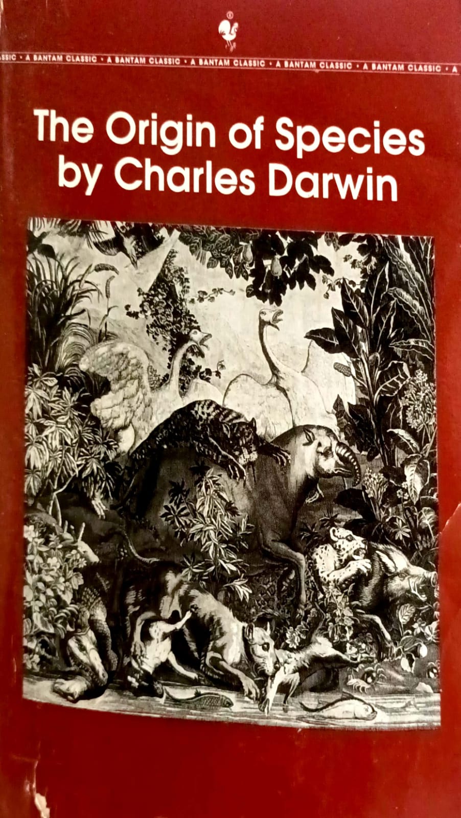 TheOrigin Of Species