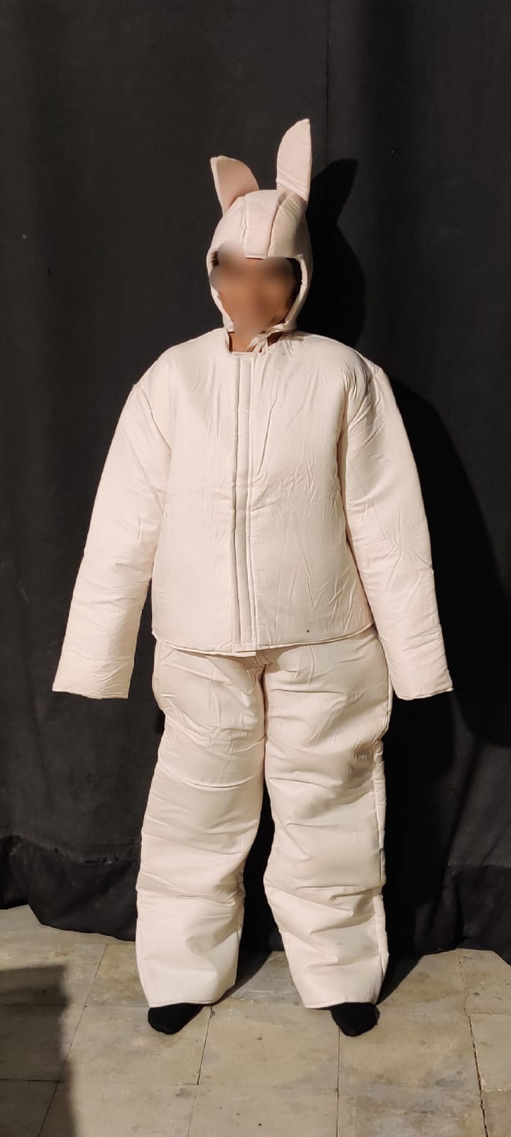 Rabbit Character Costume