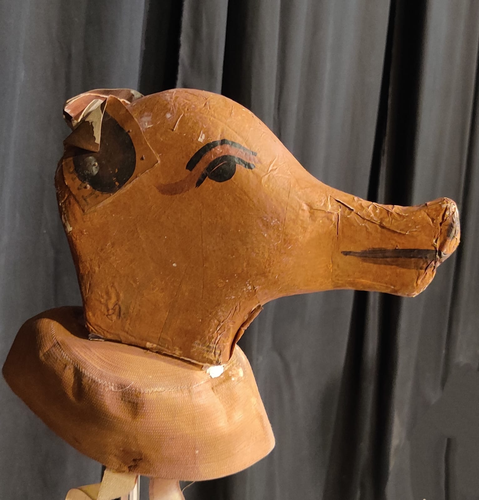 Pig