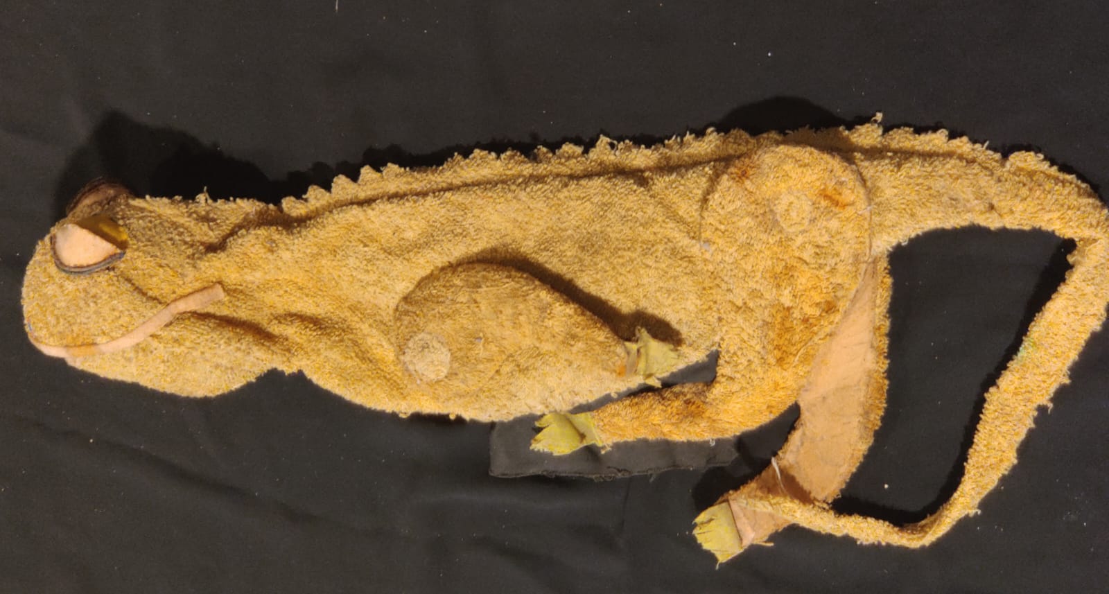 handmade chameleon puppet