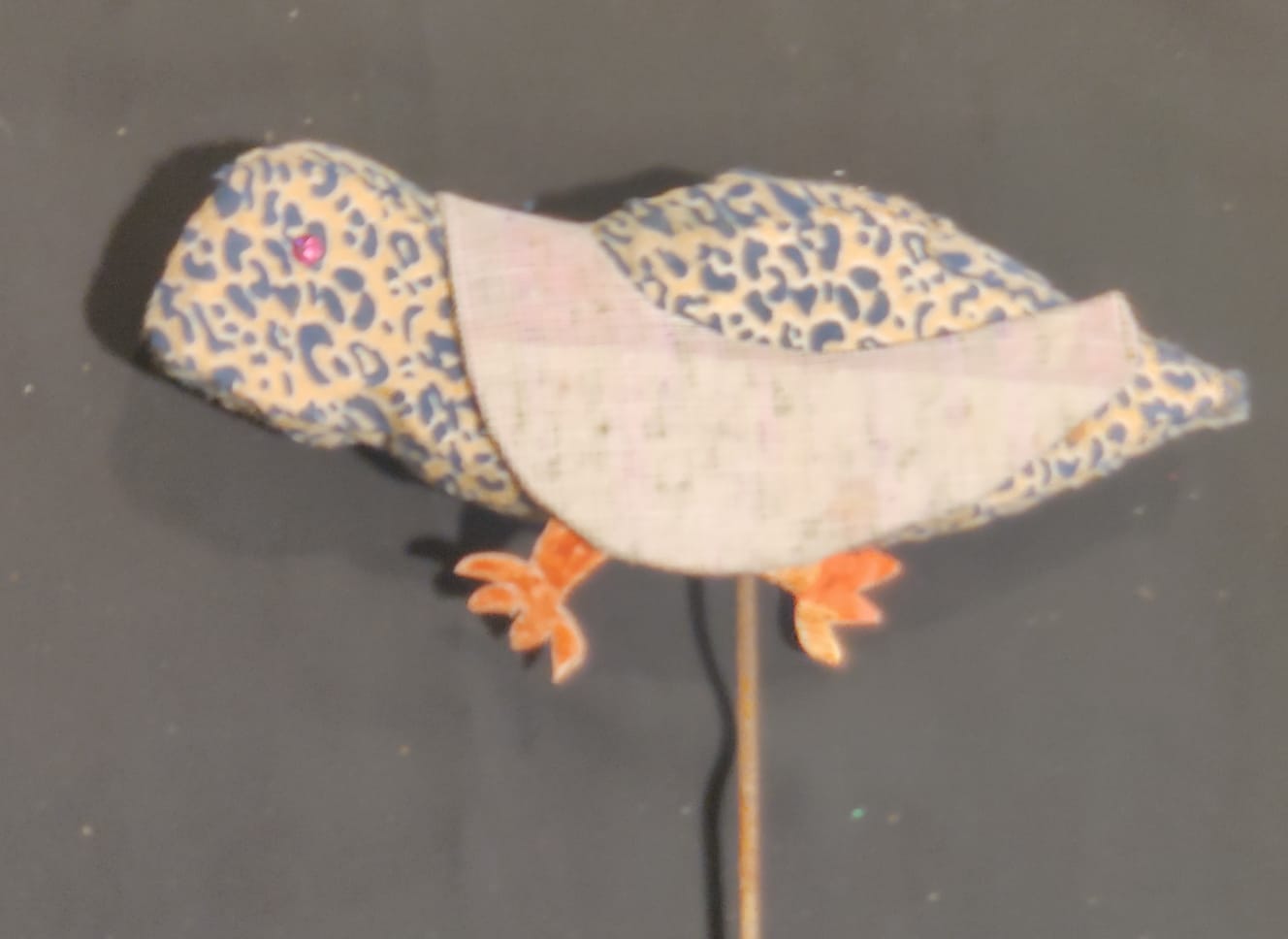 Pigeon