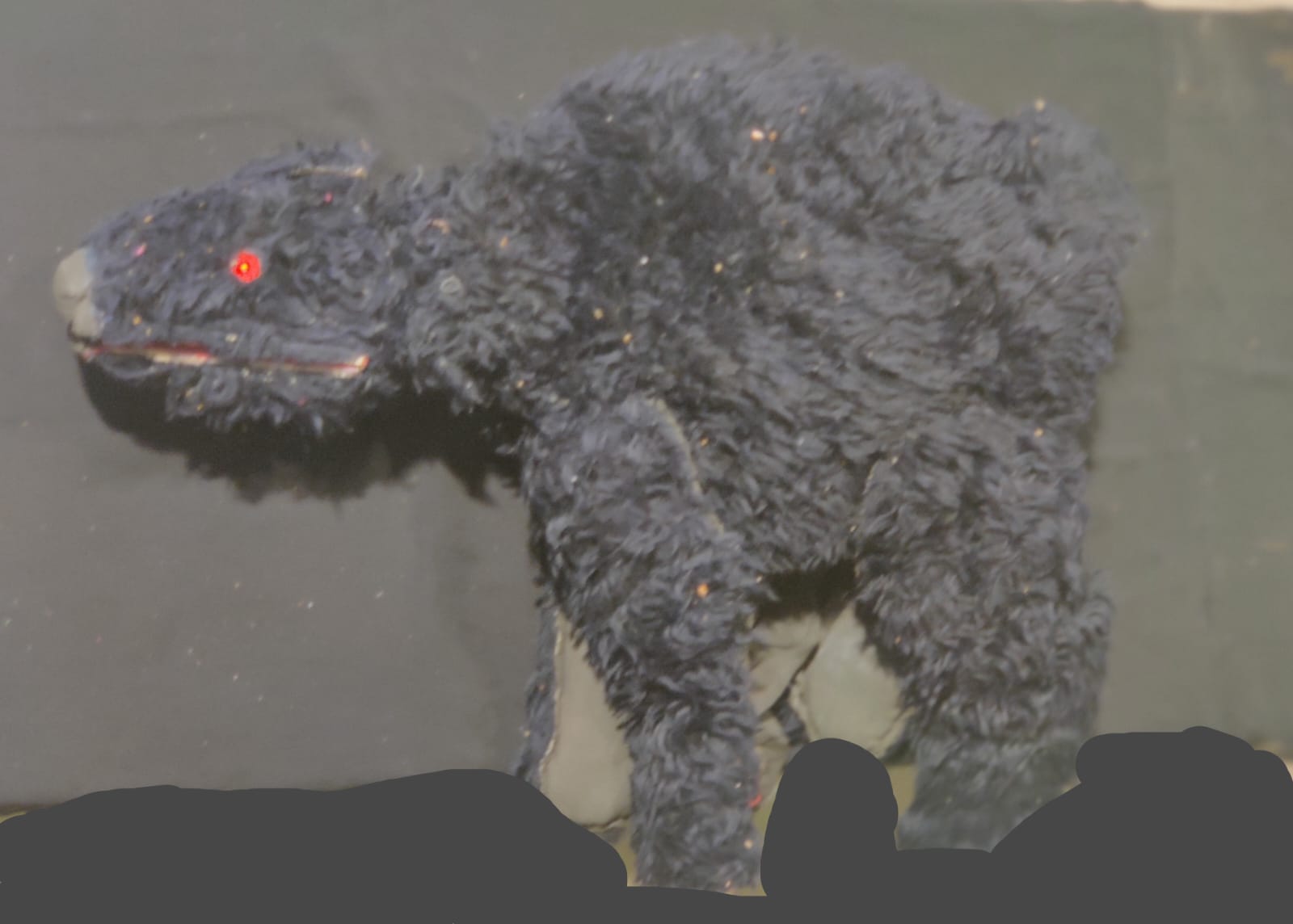 Black Bear Puppet
